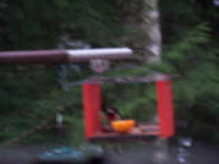 100_6697.jpg